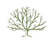 tree icon