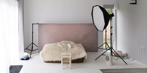 Interior of a Photography Studio in Garden with backdrop, lighting and props 