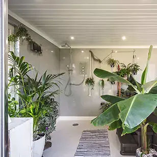 Hydropool Midlands Hot Tub Room internal view with large indoor plants and shower and spotlights in the ceiling