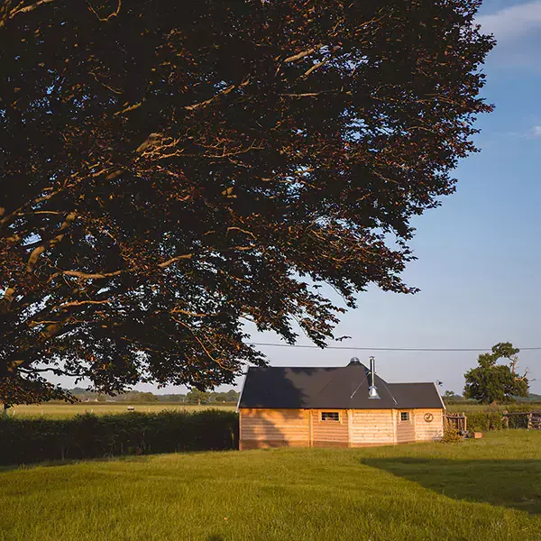 camping cabin under large tree in rural setting