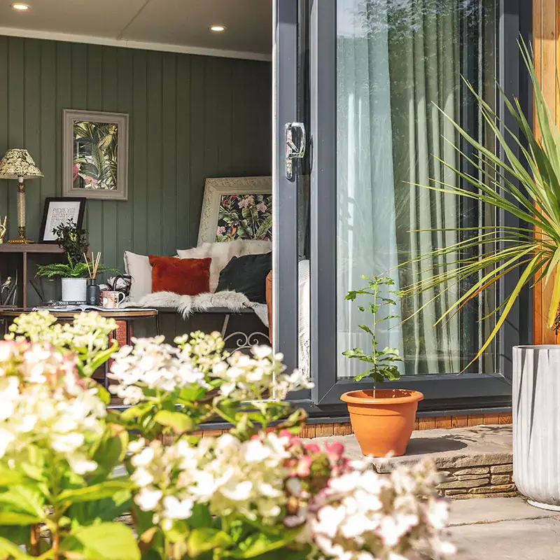 Interior of a garden room with dark green feature wall and green velvet sofa and green tropical plant